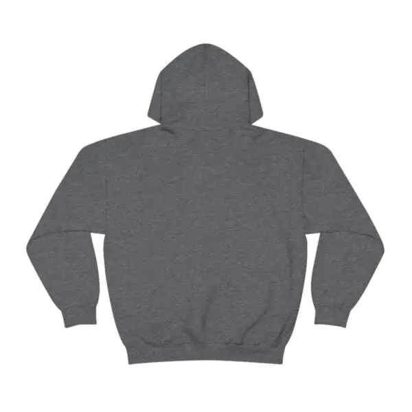 A gray hoodie with the hood up.