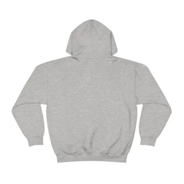 A gray hoodie with the words " no image ".