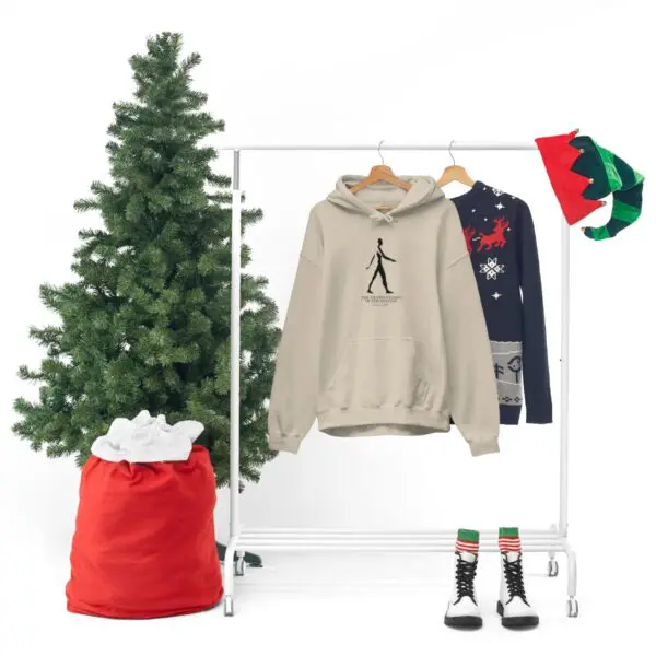 A christmas tree and clothes hanging on a rack.